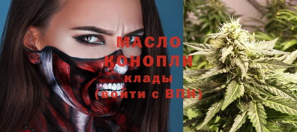 крисы Алексин