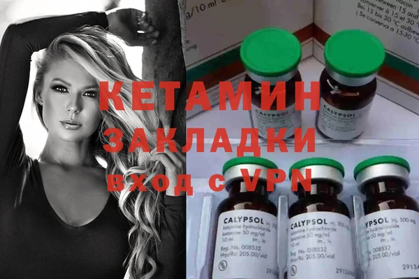 крисы Алексин