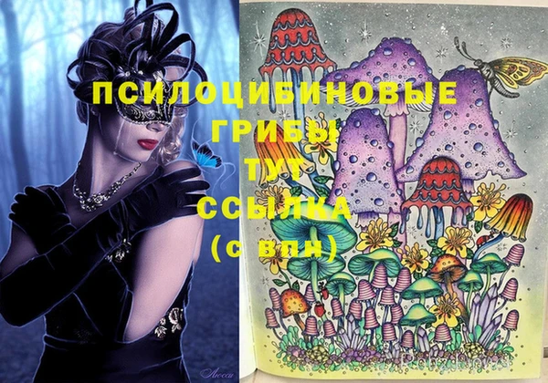 Альфа ПВП Алзамай