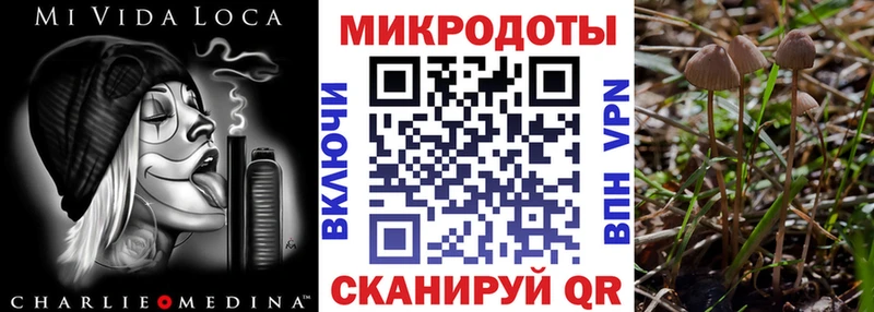 Галлюциногенные грибы Psilocybine cubensis  где купить   Владимир 